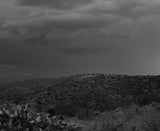 Andrea Koesters - Oracle