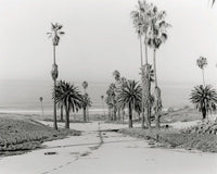Pre-Order: Mark Ruwedel - The Western Edge