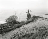 Pre-Order: Mark Ruwedel - The Western Edge