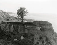 Pre-Order: Mark Ruwedel - The Western Edge