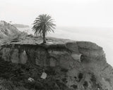 Pre-Order: Mark Ruwedel - The Western Edge