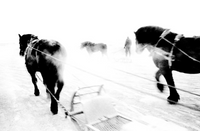 Hajime Kimura - Track