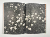 Melissa Catanese - The Lottery