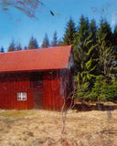 Pre-Order: JH Engström - Dimma Brume Mist