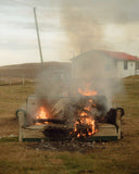 Pie Aerts - Coirón