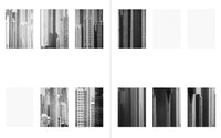 Daniel Shea - Distribution (Signed)
