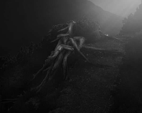 Pre-Order: Rick van der Klooster - Between the Mountain and the River