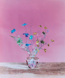 Pre-Order: Brendan Barry - Flowers for Bea