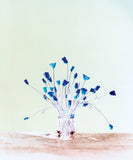 Pre-Order: Brendan Barry - Flowers for Bea