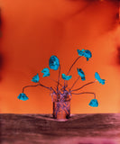 Pre-Order: Brendan Barry - Flowers for Bea