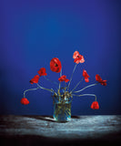 Pre-Order: Brendan Barry - Flowers for Bea