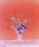 Pre-Order: Brendan Barry - Flowers for Bea