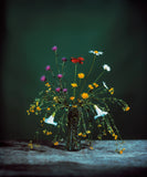 Pre-Order: Brendan Barry - Flowers for Bea