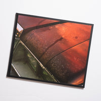 Phil Jung - Windscreen