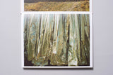 Toshio Shibata - Painting