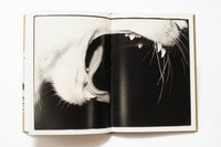 Masahisa Fukase - Sasuke
