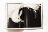 Masahisa Fukase - Sasuke