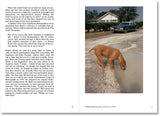 Stephen Shore - Modern Instances: The Craft of Photography (Signed, Expanded Edition)